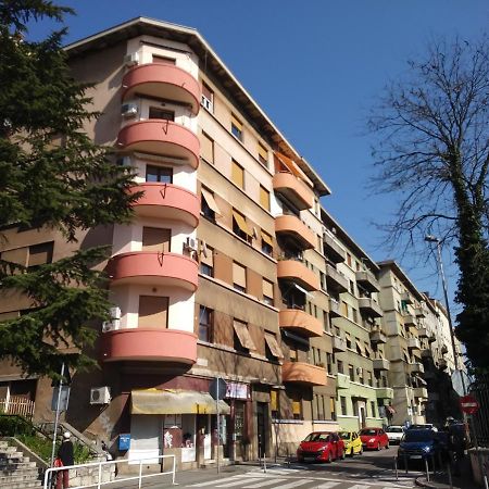 Central Zagrad Apartment Fiume Kültér fotó