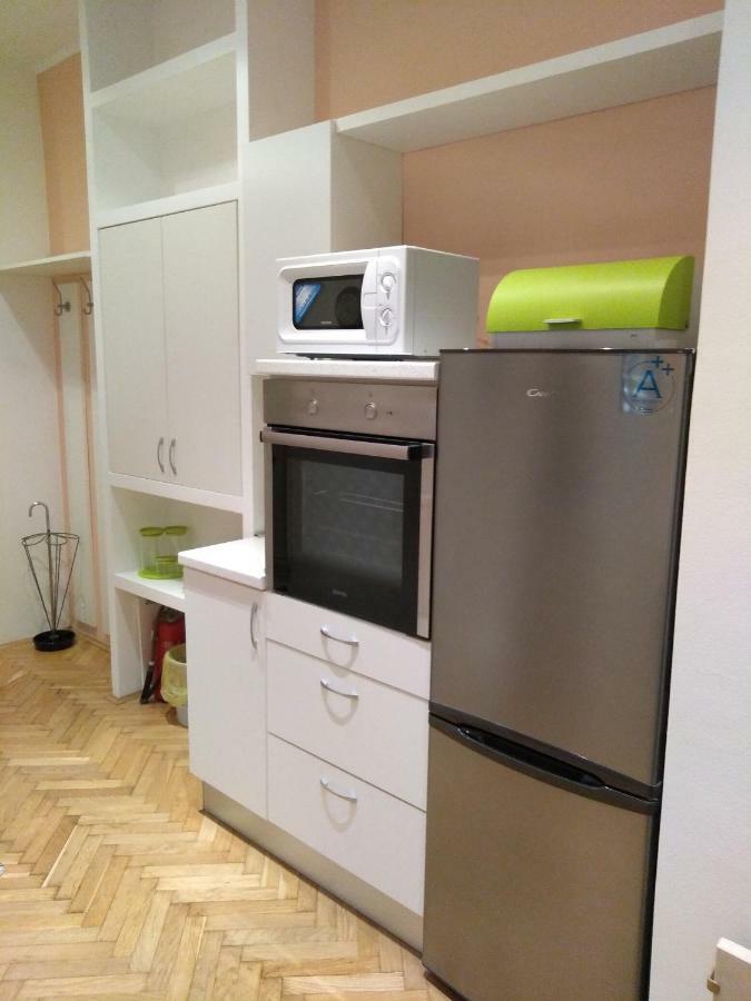 Central Zagrad Apartment Fiume Kültér fotó